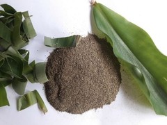 Insulin Plant Leaves powder Natural Blood Sugar Support Ayurvedic Herbal Organic