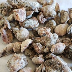 Hardened Piñon Tree Sap/Resin/Pitch from Lincoln co New Mexico 2oz