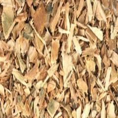 WHITE WILLOW BARK With Absolutely No Additives High Potency 100 Veg Capsules