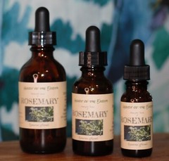 ROSEMARY Extract Remember Memory Nourish ORGANIC FOLK Tincture