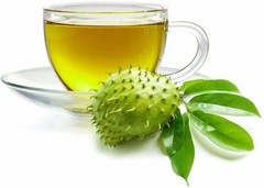 Soursop Leaves Graviola 100% Pure Dried Soursop Leaf – Hojas De Guanabana – 1oz