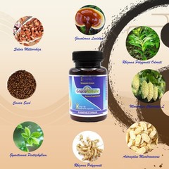 GlucoNature|Market Proven Blood Sugar Optimizer|60 Veg Capsules