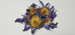 3oz. ORGANIC Blue Lotus Combo Whole, Crushed Flower and Stamens (1oz each)