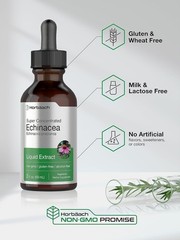 Horbaach Echinacea Drops Herb Tincture | 2 fl oz | Super Concentrated Root Extra
