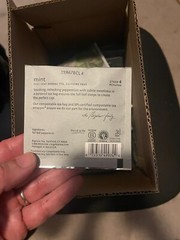Steep Cafe By BIGELOW classic Mint Herb 50 Pack In Each Box