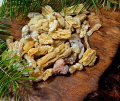 Ponderosa Pine Tree Resin | Handpicked Raw Organic Pine Sap Resin 2oz-16oz