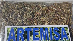 Artemisa hierba Te ,artemisia vulgaris, Mugwort, wormwood C/S !!!