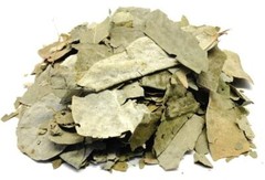 Eucalyptus Leaf Dried Cut Sifted Cold, Flu & Respiratory Relief 4 oZ (114 g)