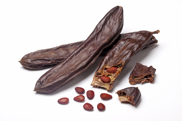 Dried Whole Certified Organic Carob Pods Ceratonia Siliqua خروب