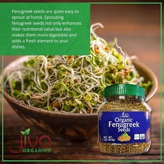 Fenogreco semilla semillas de fenogreco 1Libras sin gluten Organico 100% natural