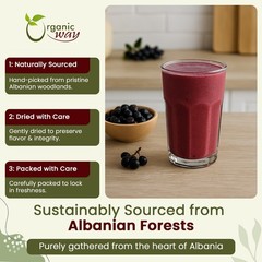 Chokeberries Powder/Aronia Berry Powder