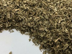 Sakae Naa, Combretum quadrangulare, All Natural Leaves ~ Schmerbals Herbals