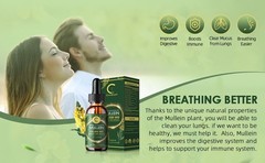 4Pack 60 ML Mullein Leaf Extract Super Concentrated 420,000 MG Lung Cleanse US