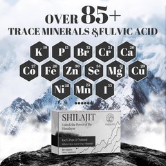 Shilasjit Tablets 1000 MG, 100% Himalayan Organic, 60 Count (Pack of 1), No