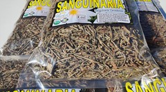 Sanguinaria Hierba Te, Blood root, Coon Root, Sanguinaria canadensis 4oz !!!