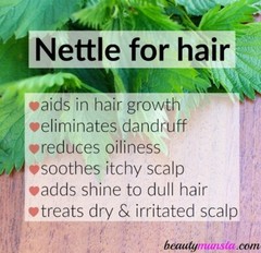 Nettles Tincture: Helps balance sugars, thyroid &glands; clears infections too.