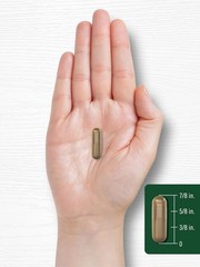 Carlyle Astragalus Root Capsules 4500mg | 150 Count | Vegetarian, Non-GMO,…