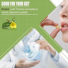 Maoruihua capsules help improve digestion skin health sleep relieve cough 60pcs