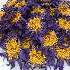 Blue Lotus | Nymphaea Caerulea| 100% Organic Herbal Hand Picked Pure Flowers Tea