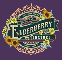Elderberry Tincture Elderberry Extract Immune Support Sambucus Nigra – USA