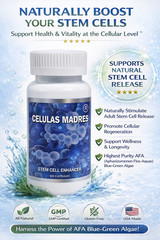 Celulas Madres (12 Bottles) vitamisan Madre Cell stem Plus AFA Bio Stem Cell Boo