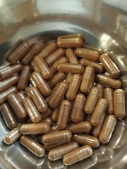 Cuachalalate – 200 VEGGIE CAPS – 400 MG