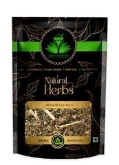 SAI HERBS Boneset Leaves – Good for Healthy Lifestyle, Supports Overall Wellness