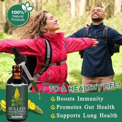 Mullein Leaf Extract with Chlorophyll for Clear Breathing – 2 Fluid Ounces
