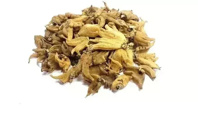 Panja Salam dactylorhiza hatagirea 100 orchid Salem Panja Hatajari WHOLE 10gm