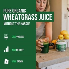 Raw BioActive Organic Wheatgrass Juice Powder – 20:1 Concentrate, 60 Servings