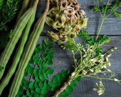 Moringa, Organic moringa Oleifera,Premium moringa seeds, semillas de moringa 4oz