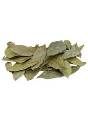 0.75oz All-Natural Graviola Soursop Leaves – Refreshing Herbal Tea Experience