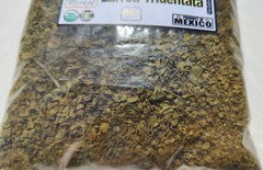  Gobernadora,Gobernadora Hierba/te,8oz Larrea tridentata,yerba Gobernadora !!!