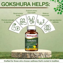 Baidyanath Gokshura – 60 Tablets | Supports Strength & Vitality m345