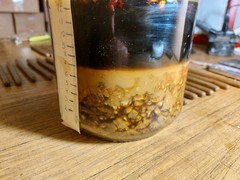 Raw Bee Propolis 30g / 1 oz Stick Pure Fresh 100% Natural Immune Support Booster