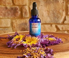 Blue Lotus-Nymphaea Caerulea-Blue Egyptian Tincture-Vegetable Glycerin 30ml