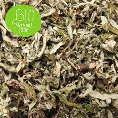 Mugwort Herb Natural Organic Dried Cut Digestion & Liver Wellness 28.3g | 1 oz