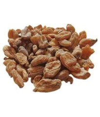 SALAB MISRI Salep Orchid Salam Misri Ayurveda WHOLE Indian Herbs