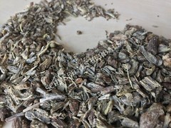 Echinacea, Echinacea angustifolia, 1 oz All Natural Root ~ Schmerbals Herbals