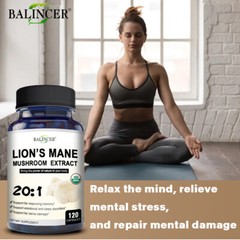 ORGANIC LION’S MANE MUSHROOM EXTRACT – BRAIN AND MOOD SUPPORT