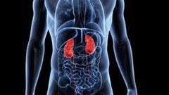 super kidney cleanse – KIDNEY SUPPORT – kidney stone – 2 Bottles