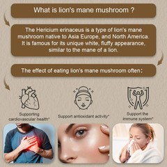2 Bottles Lion’s Mane Mushroom Complex 120 Capsules Daily Focus Immune Support
