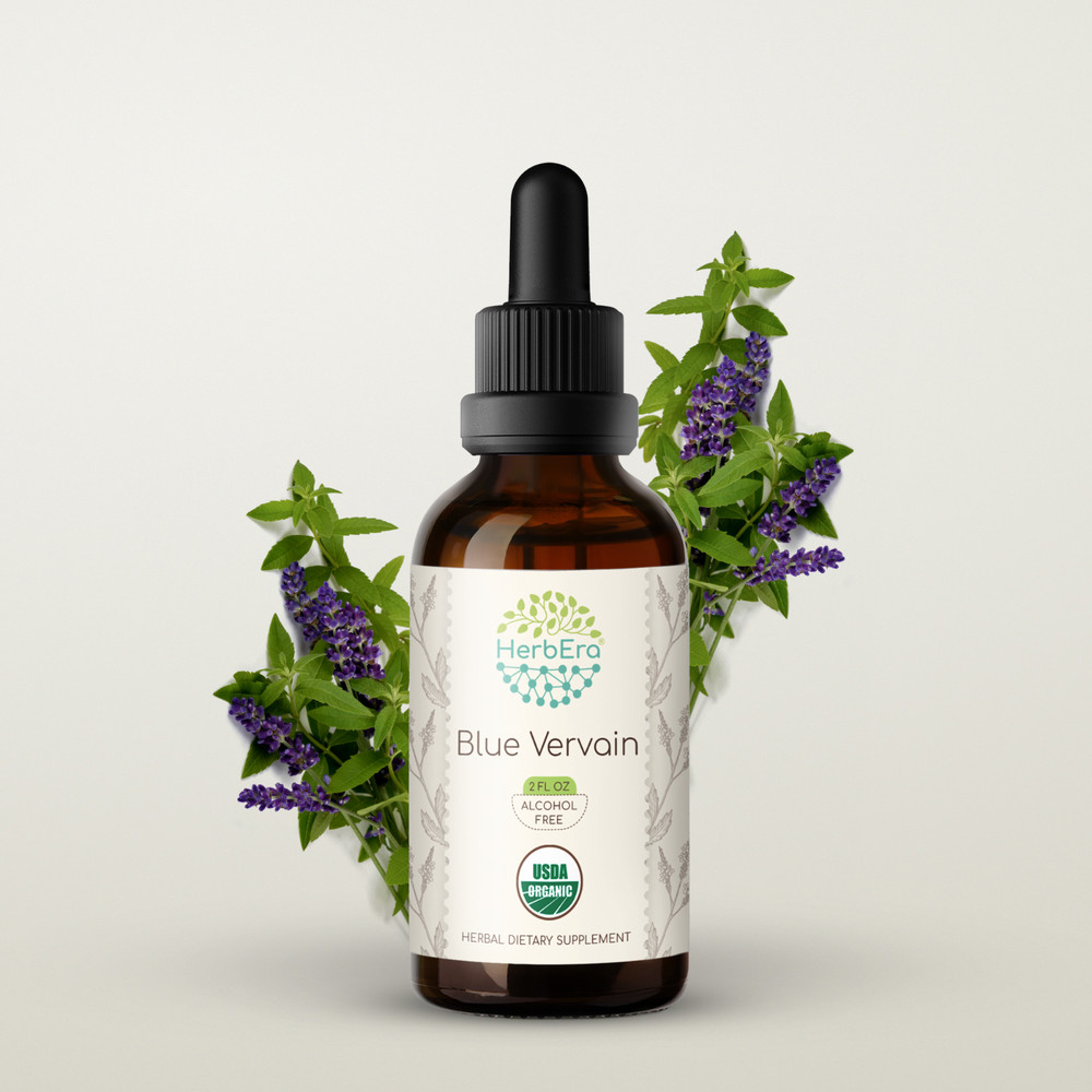 HerbEra Blue Vervain Alcohol-FREE Tincture, Organic (Verbena Hastata)