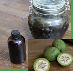 Black Walnut Extract 4 oz Organic Juglans nigra Ripe Green Hulls Tincture