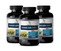 digestion help – DANDELION ROOT – dandelion capsules 3B