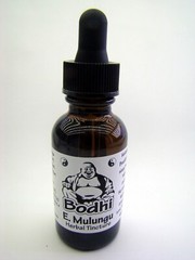 Mulungu Herbal Tincture – Made with Brazilian Mulungu Bark