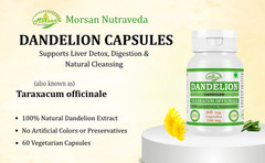 Dandelion (Taraxacum officinale) Capsules Herbal Supplement Pack 120 Veg Capsule