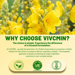 Mullein Drops for Lungs with Licorice & Astragalus, Respiratory & Immune Support