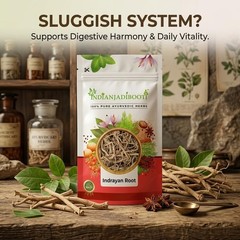 Indrayan Root (Citrullus Colocynthis) – Indravaruni/Bitter Apple Root-250 GRAMS