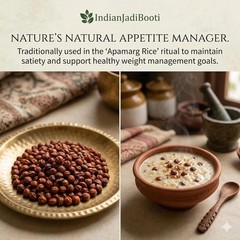 Apamarg Seeds – Achyranthes Aspera – Prickly Chaff Flower/Chirchita Seeds-400 gm